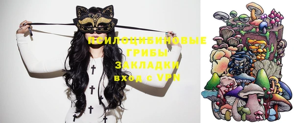 тгк Михайловка