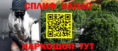 твердый Гатчина