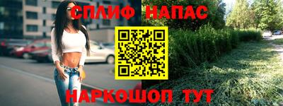 твердый Гатчина