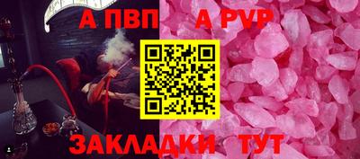 бошки Гай
