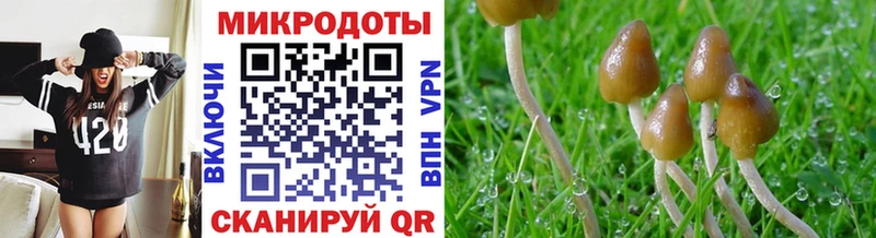 Псилоцибиновые грибы ЛСД  Чита 