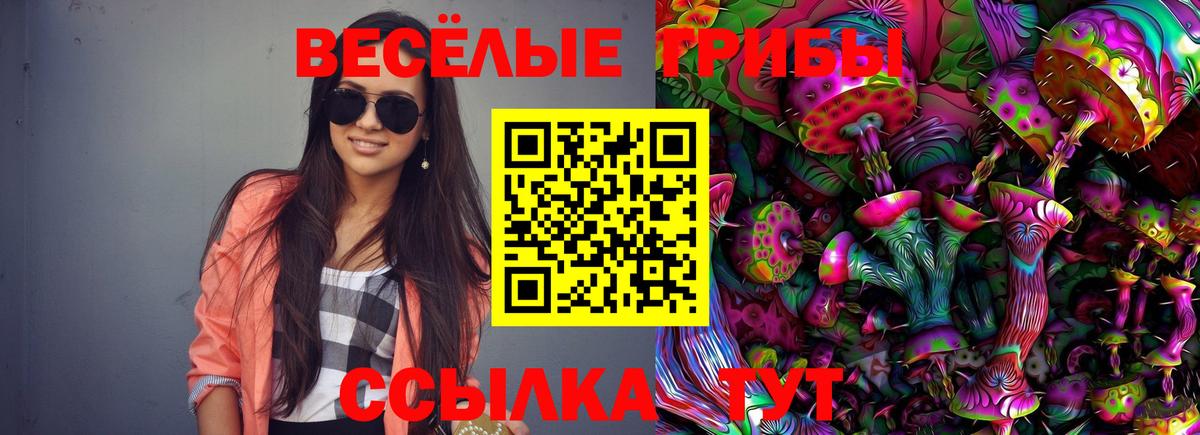 Псилоцибиновые грибы мицелий  Вход с VPN  Галлюциногенные грибы Psilocybe  Чита 